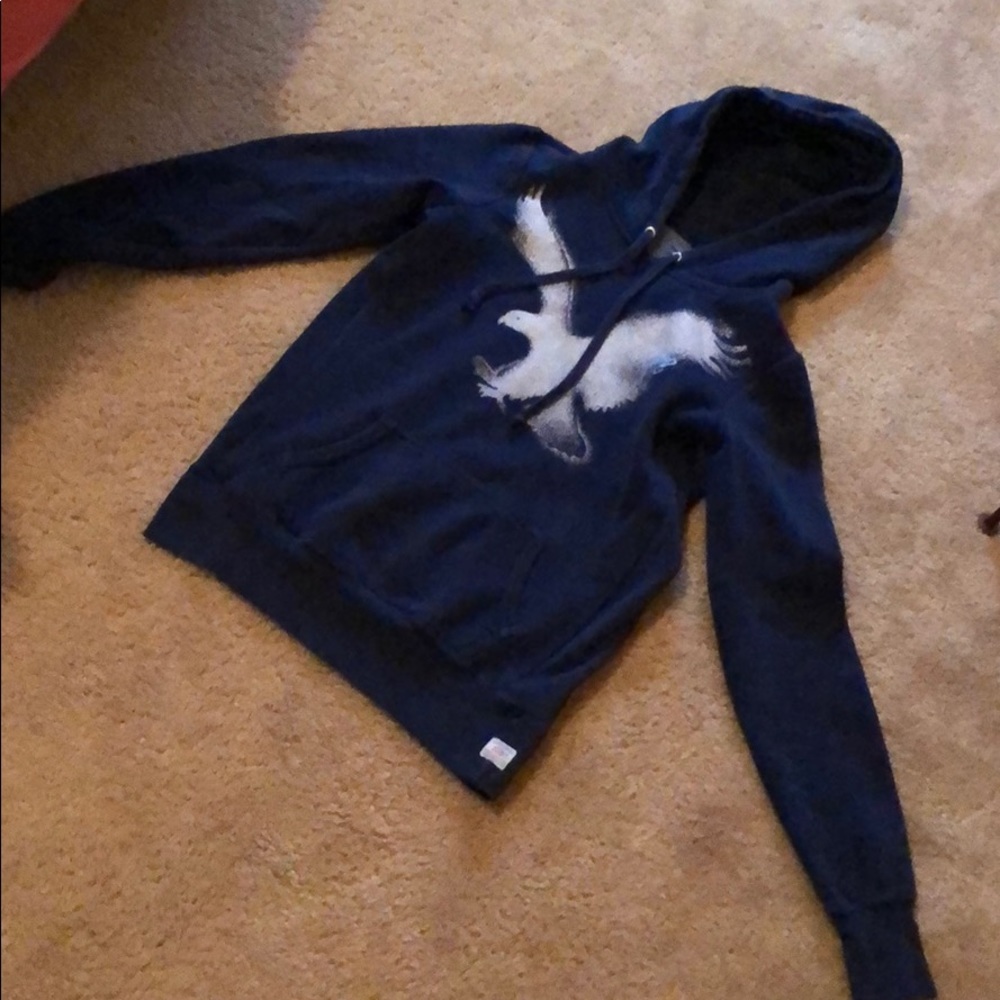 American Eagle Hoodie Sweater